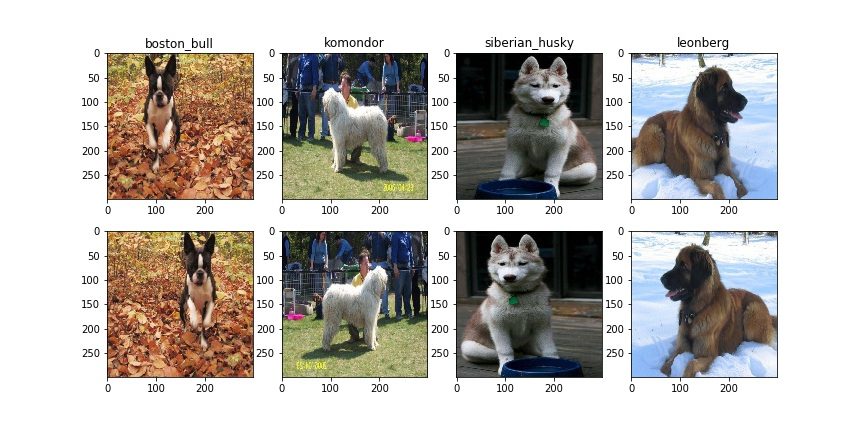 Transfer Learning For Image Classification With Keras Nodalpoint Transfer Learning For Image Classification With Keras Nodalpoint